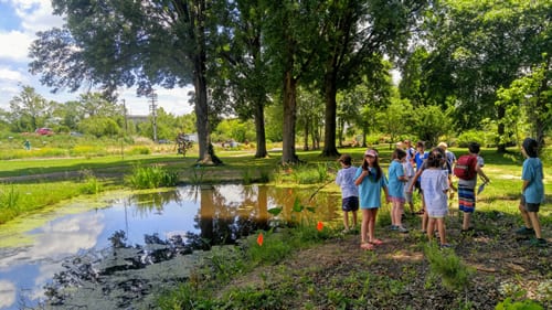 Students gathering next to a pond