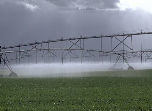 Irrigation equipment watering crops