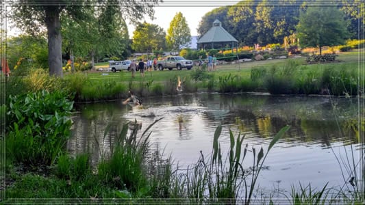 Image of a pond at an event.